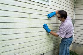 Best Custom Siding Design  in Elmwood Park, IL